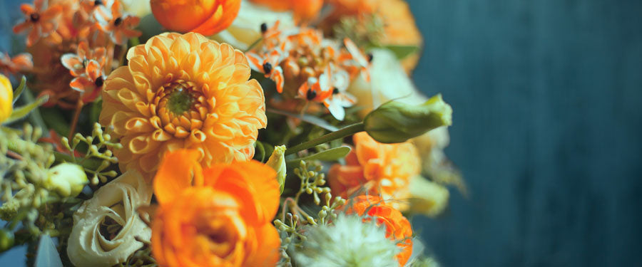 Fall Flowers