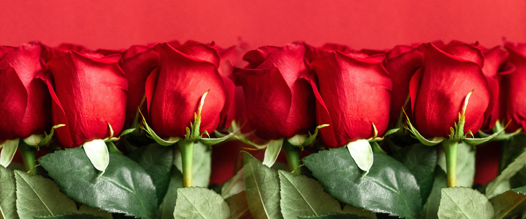 Valentines Day