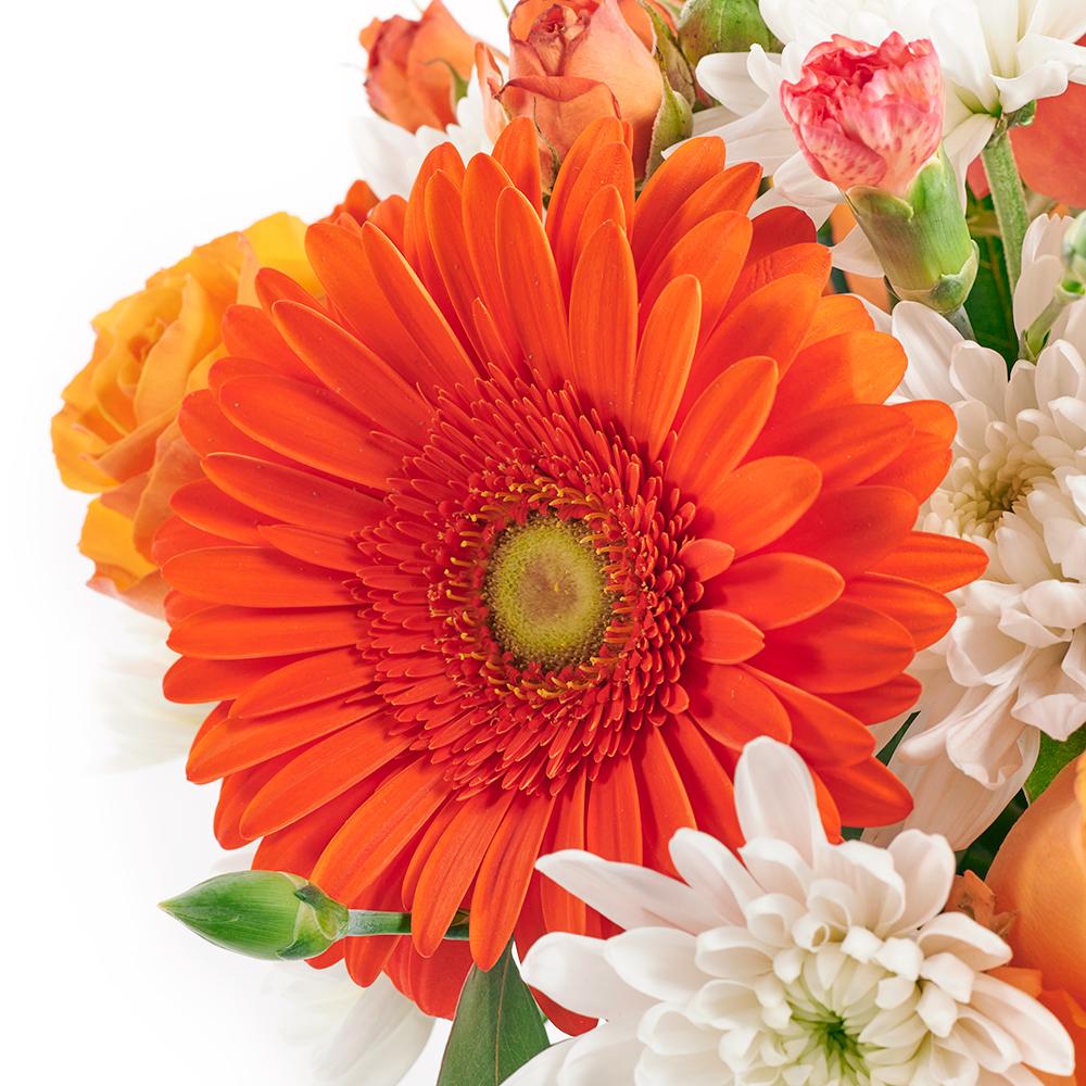 Forever Young Daisy Box - Heart & Thorn - Canada flower delivery