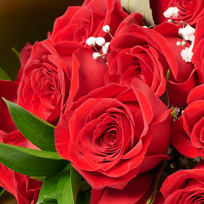 Valentine's Day Dozen Red Roses Bouquet, roses, bouquet, Canada Same Day Flowers Delivery, Valentine's Day gifts