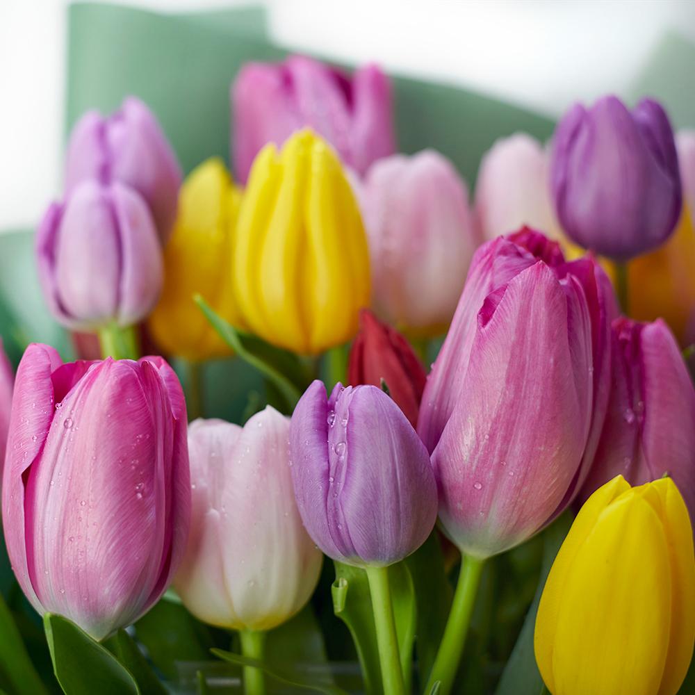 Spring Radiance Tulip Bouquet - Heart & Thorn - Canada flower delivery