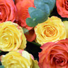 Sunset Rose Bouquet - Heart & Thorn - Canada flower delivery
