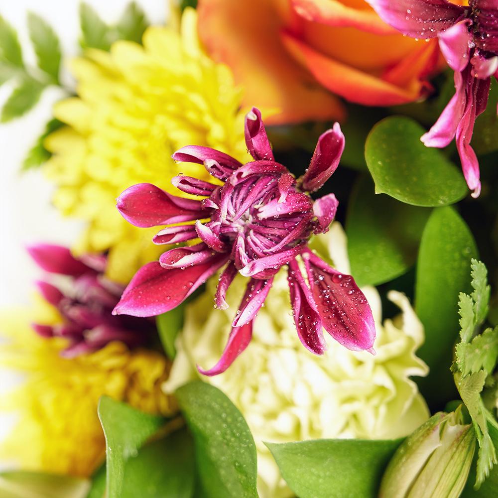 Tropical Shine Mixed Bouquet - Heart & Thorn - Canada flower delivery