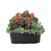 Valentine's Day Chocolate Dipped Strawberries Tin - Heart & Thorn - Canada chocolate delivery