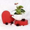 Valentine's Day Planted with Love Anthurium - Heart & Thorn - Canada flower delivery