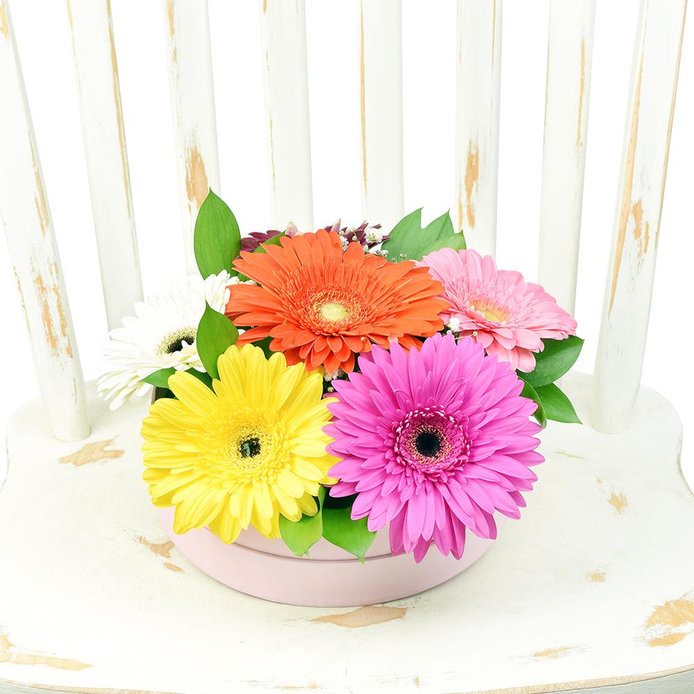 Vivacious Daisy Arrangement - Heart & Thorn - Canada flower delivery