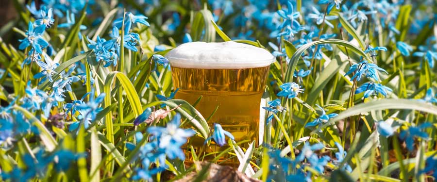 Flowers & Beer