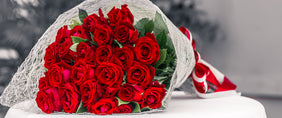 Roses Gifts Delivered to Canada