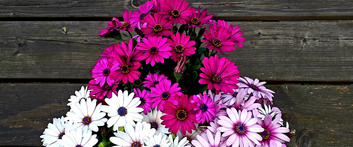 Triangular Flower Arrangement