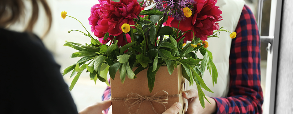 Flower Subscription - Flower of the Month Canada - Plant of the Month Canada -  Plant Subscription