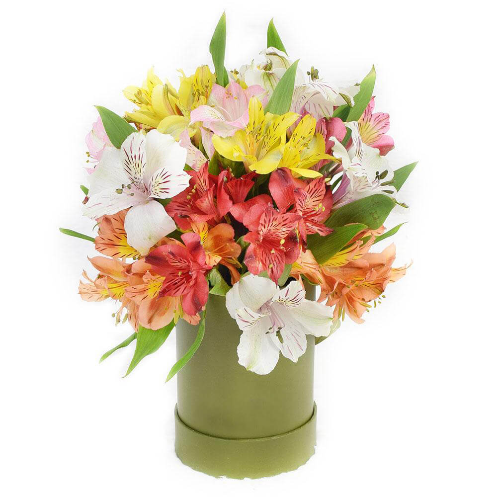 Livewire Lilies Flower Gift