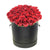 Red Vibrancy Box Rose Set