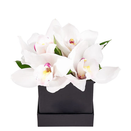 Simple Orchid Gift Box