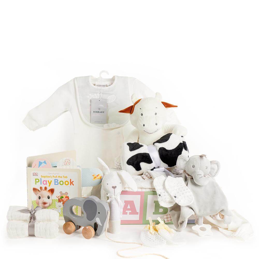 ABC Baby Gift Basket - Heart &amp; Thorn - Canada gift basket delivery