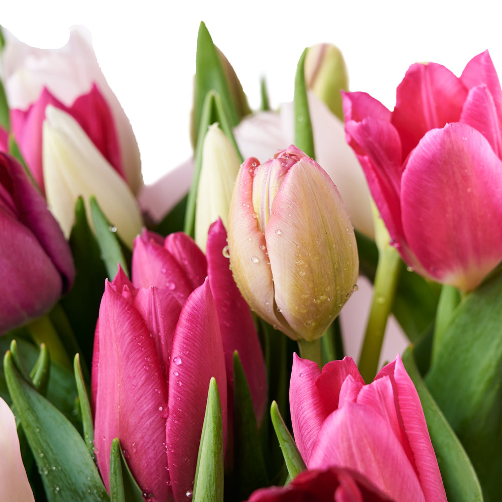 Mother's Day Assorted Tulip Bouquet & Box – Flower Arrangements