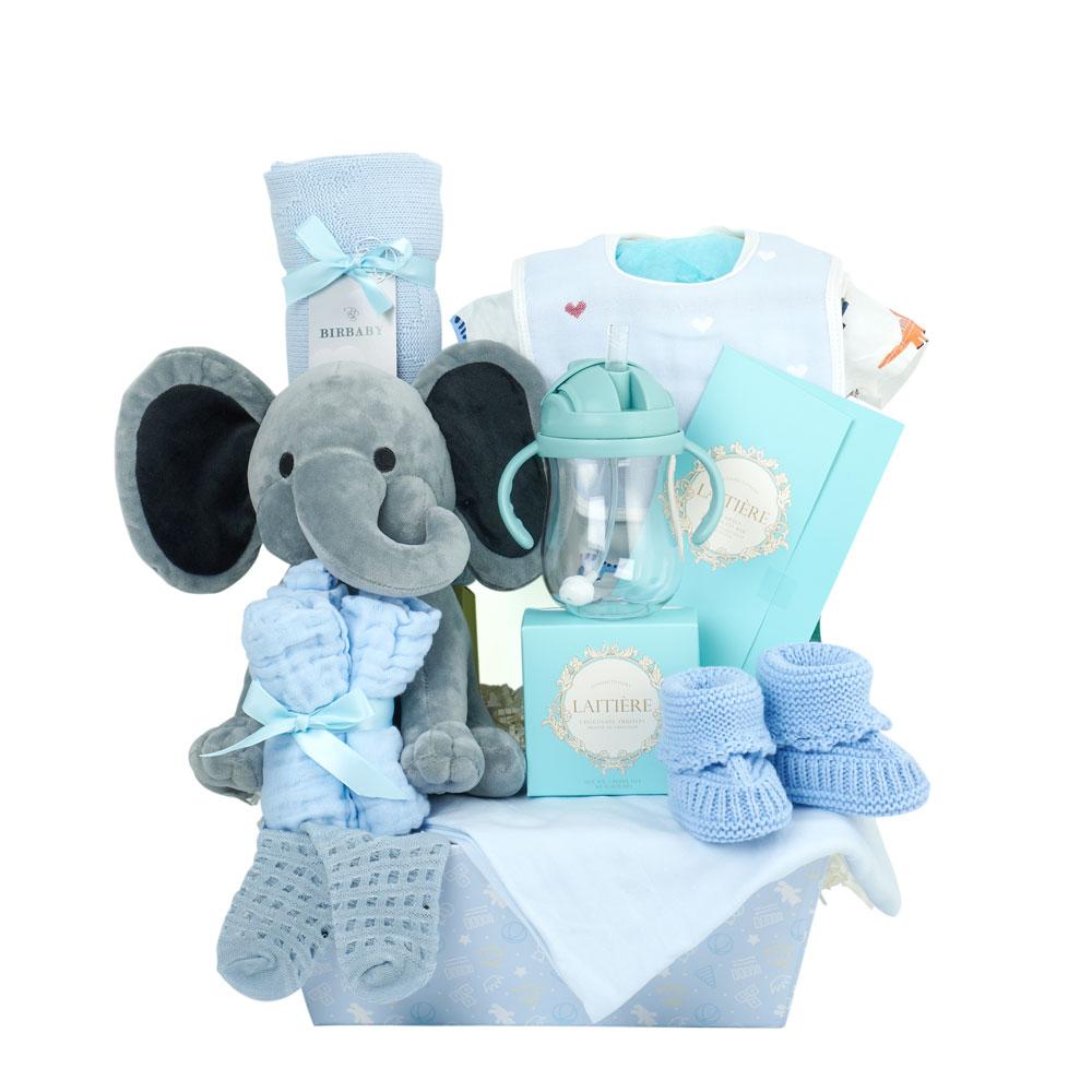Baby Boy Gift Basket - Heart &amp; Thorn - Canada gift basket delivery