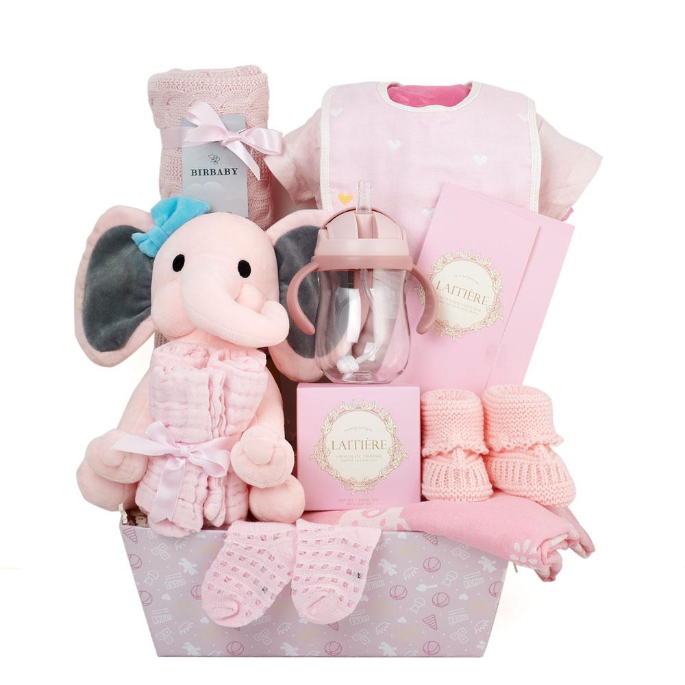 Baby Girl Plush Gift Basket - Heart &amp; Thorn - Canada gift basket delivery
