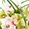 Berry Special Orchid Arrangement - Heart & Thorn - Canada flower delivery