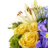 Bursting Beauty Iris Arrangement - Heart & Thorn - Canada flower delivery