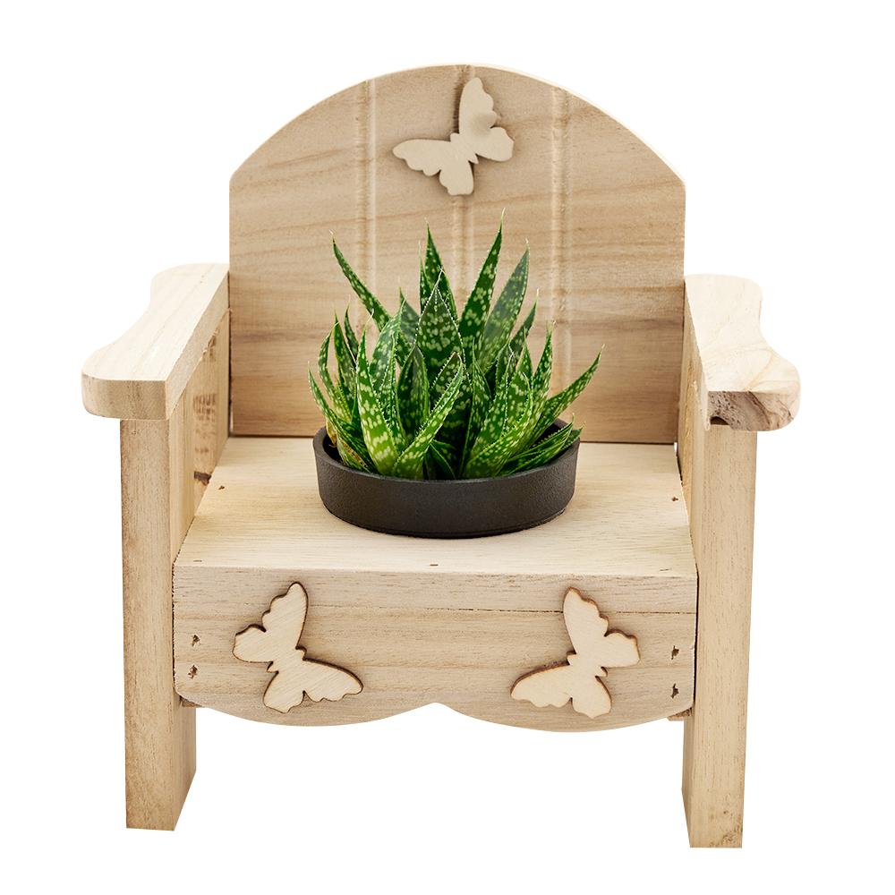 Butterfly Planter Chair Arrangement - Heart &amp; Thorn - Canada plant delivery