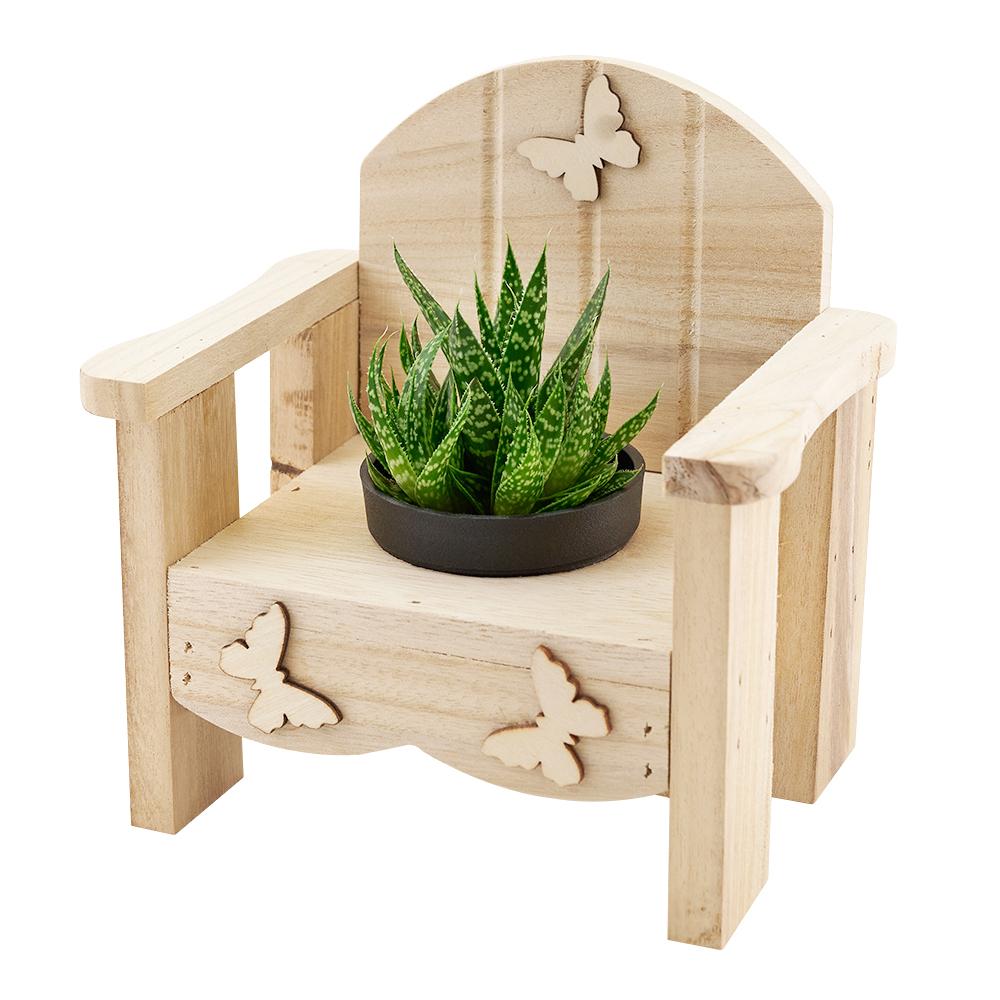 Butterfly Planter Chair Arrangement - Heart & Thorn - Canada plant delivery