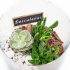 Circle of Life Succulent Terrarium - Heart & Thorn - Canada plant delivery
