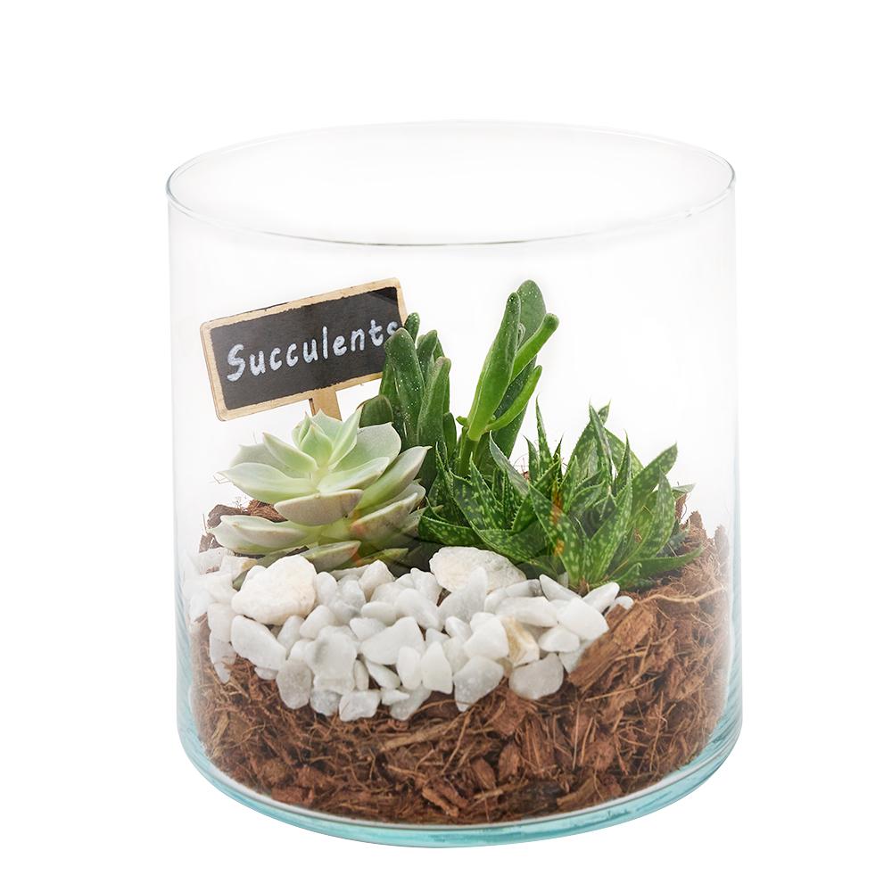 Circle of Life Succulent Terrarium - Heart &amp; Thorn - Canada plant delivery