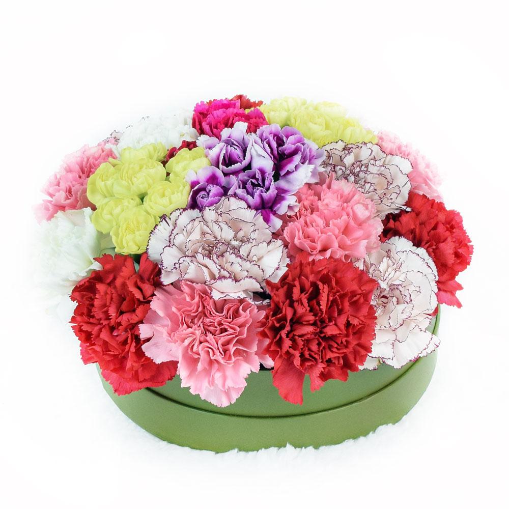 Colourful Radiance Flower Box Set - Heart &amp; Thorn - Canada flower delivery