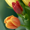 Country Garden Tulip Bouquet - Heart & Thorn - Canada flower delivery