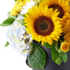 Crowning Glory Sunflower Arrangement - Heart & Thorn - Canada flower delivery