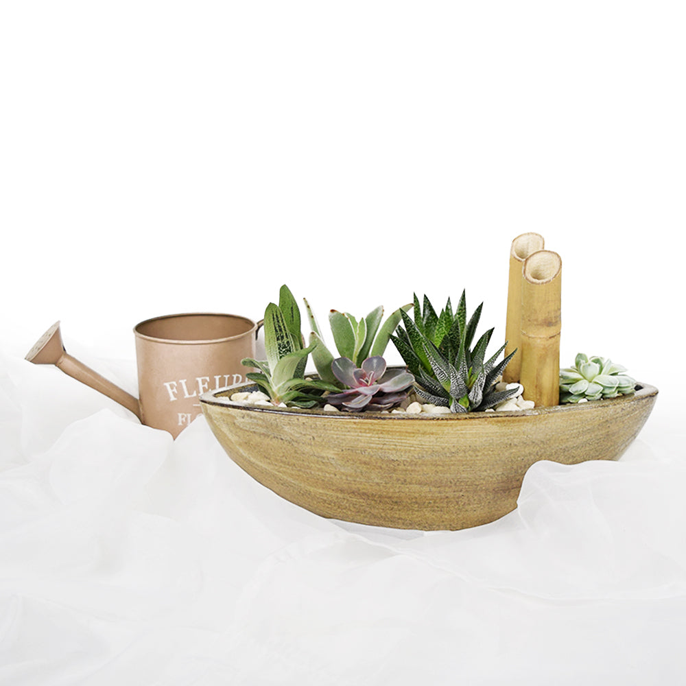 Serenity Plant Garden