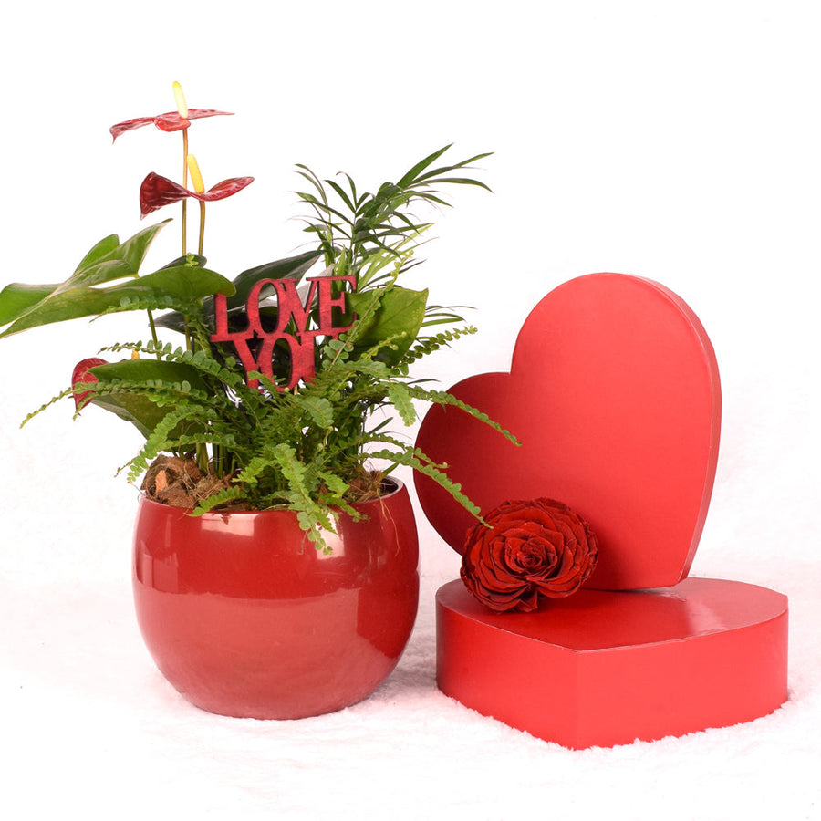 Valentine's Day 12 Stem Red Rose Bouquet With Designer Box