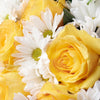 Floral Fantasy Daisy Bouquet - Heart & Thorn - Canada flower delivery