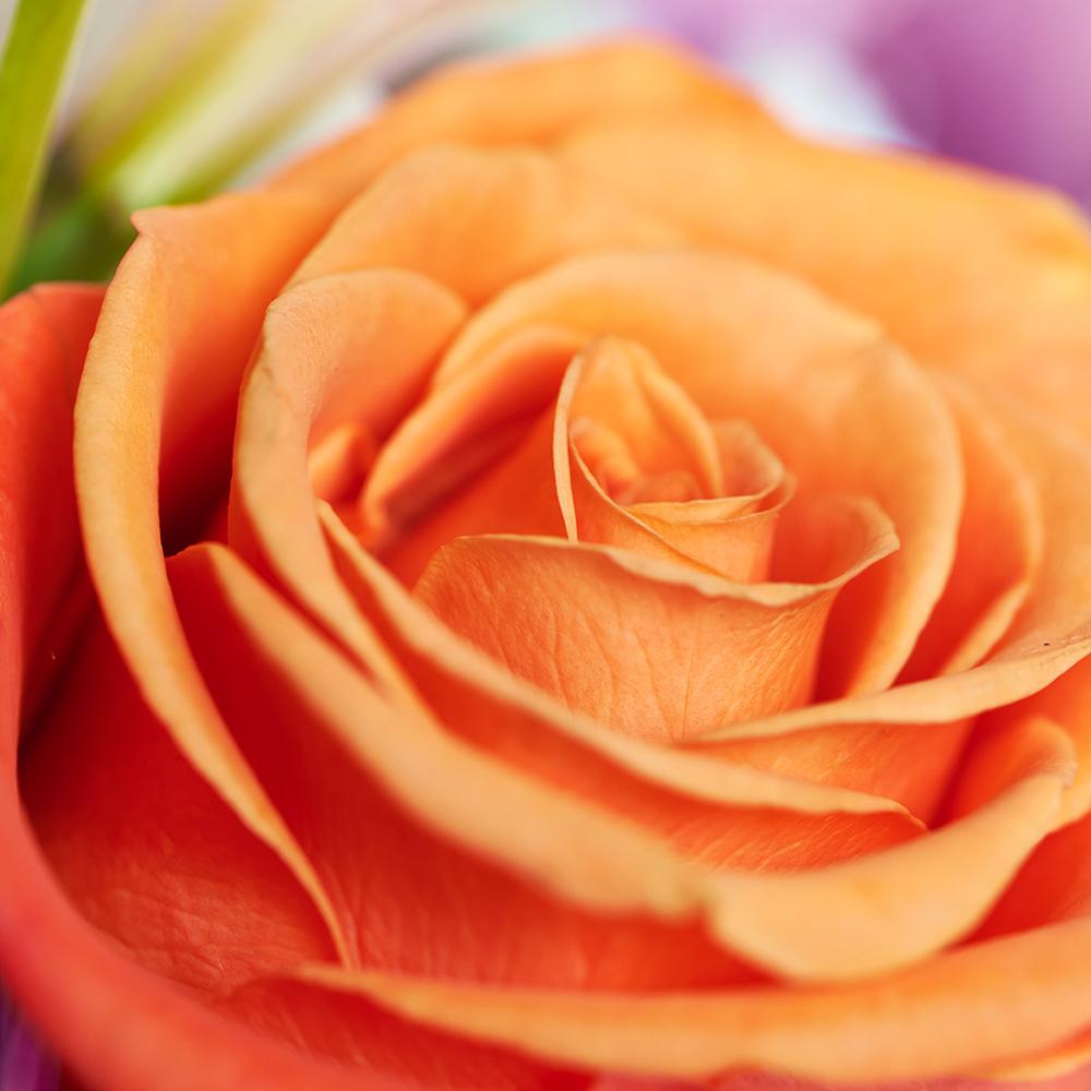 Heavenly Scents Flowers &amp; Candle Gift - Heart &amp; Thorn - Canada flower delivery