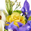 Irises In Paradise Mixed Arrangement - Heart & Thorn - Canada flower delivery