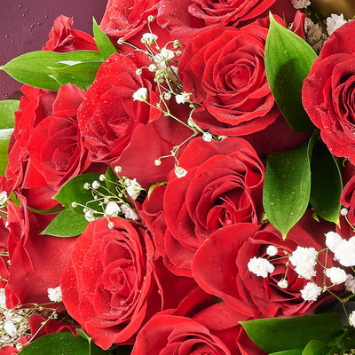 Valentine's Day 24 Red Roses Bouquet, roses, Valentine's day gifts, Canada Same Day Flower Delivery