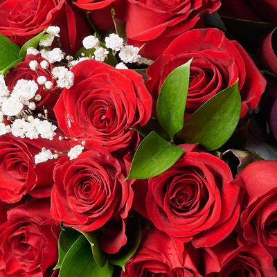 Valentine's Day 36 Red Roses Bouquet, roses, bouquets, Valentine's day gifts, Canada Same Day Flower Delivery