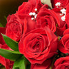 Valentine's Day Dozen Red Roses Bouquet, roses, bouquet, Canada Same Day Flowers Delivery, Valentine's Day gifts