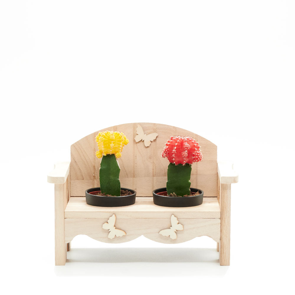 Desert Bench Cactus Arrangement, gift baskets, plant gifts, gifts, cactus, potted plant, succulent, Canada Delivery