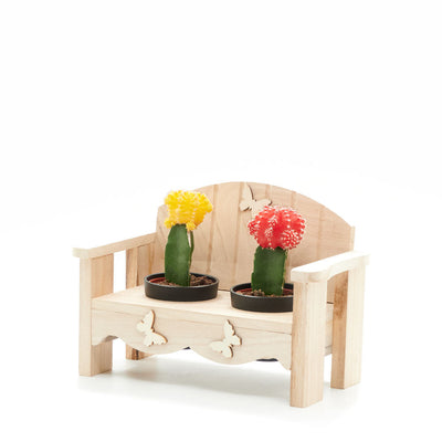 Desert Bench Cactus Arrangement, gift baskets, plant gifts, gifts, cactus, potted plant, succulent, Canada Delivery