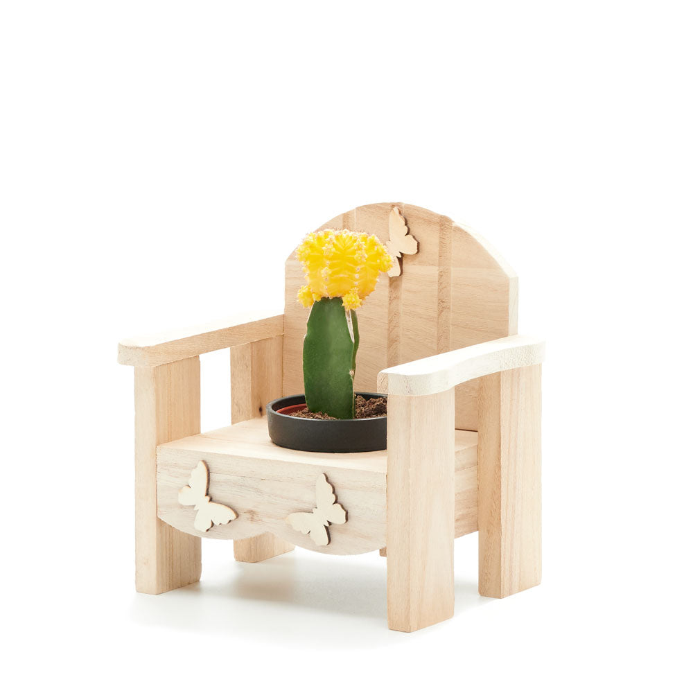 Laid-Back Cactus Gift, potted plant gift baskets, potted plant gifts, gifts, cactus, potted plant, Canada Delivery