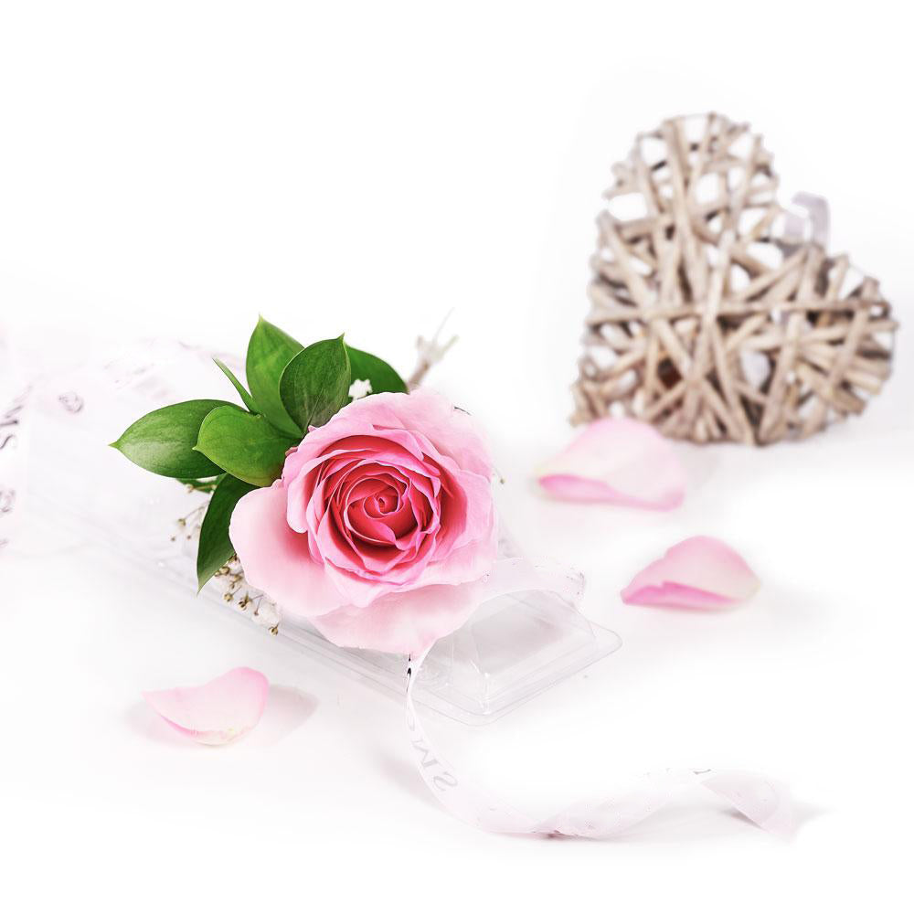 Mother's Day Single Pink Rose - Heart &amp; Thorn - Canada rose delivery