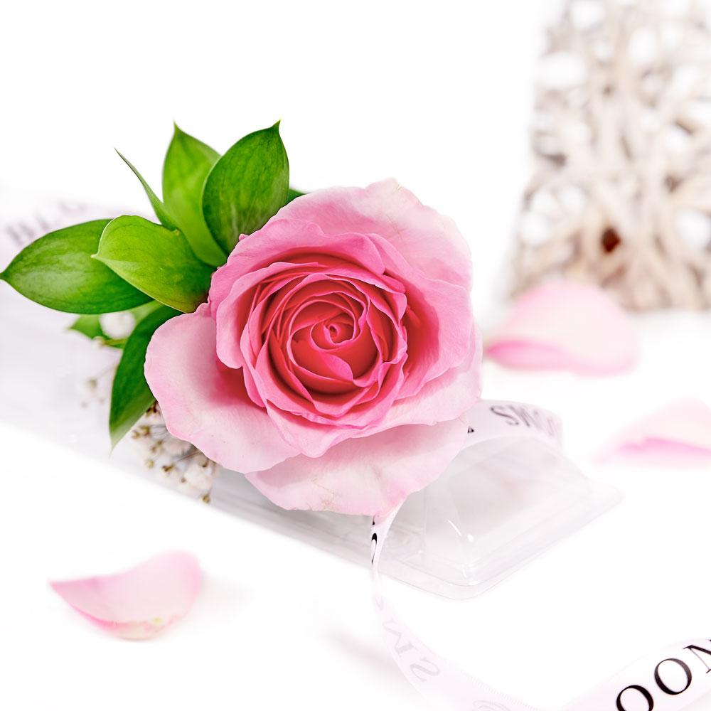 Mother's Day Single Pink Rose - Heart &amp; Thorn - Canada rose delivery
