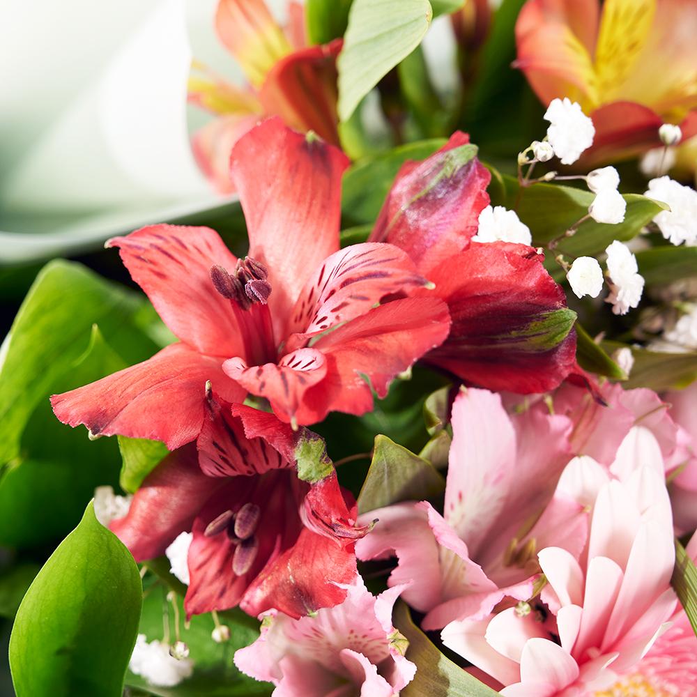 Parisian Brilliance Peruvian Lily Bouquet - Heart & Thorn - Canada flower delivery