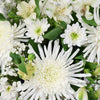Peaceful White Mixed Floral Arrangement - Heart & Thorn - Canada Flower delivery