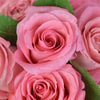 Pink Glow Box Rose Set - Heart & Thorn - Canada flower delivery
