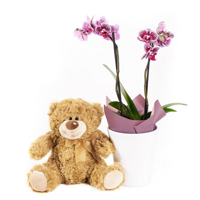 Potted Orchids & Bear - Heart & Thorn - Canada flower delivery