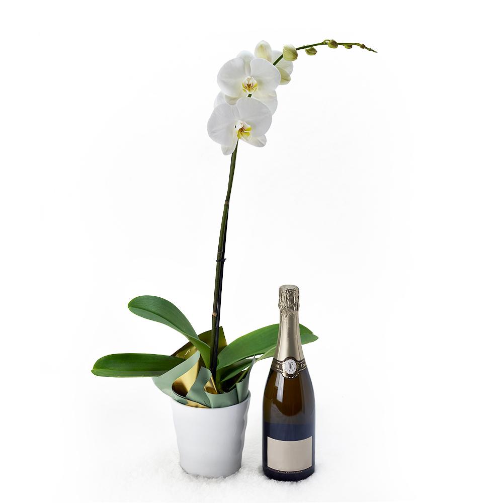 Pure &amp; Simple Flowers &amp; Champagne Gift - Heart &amp; Thorn - Canada flower delivery