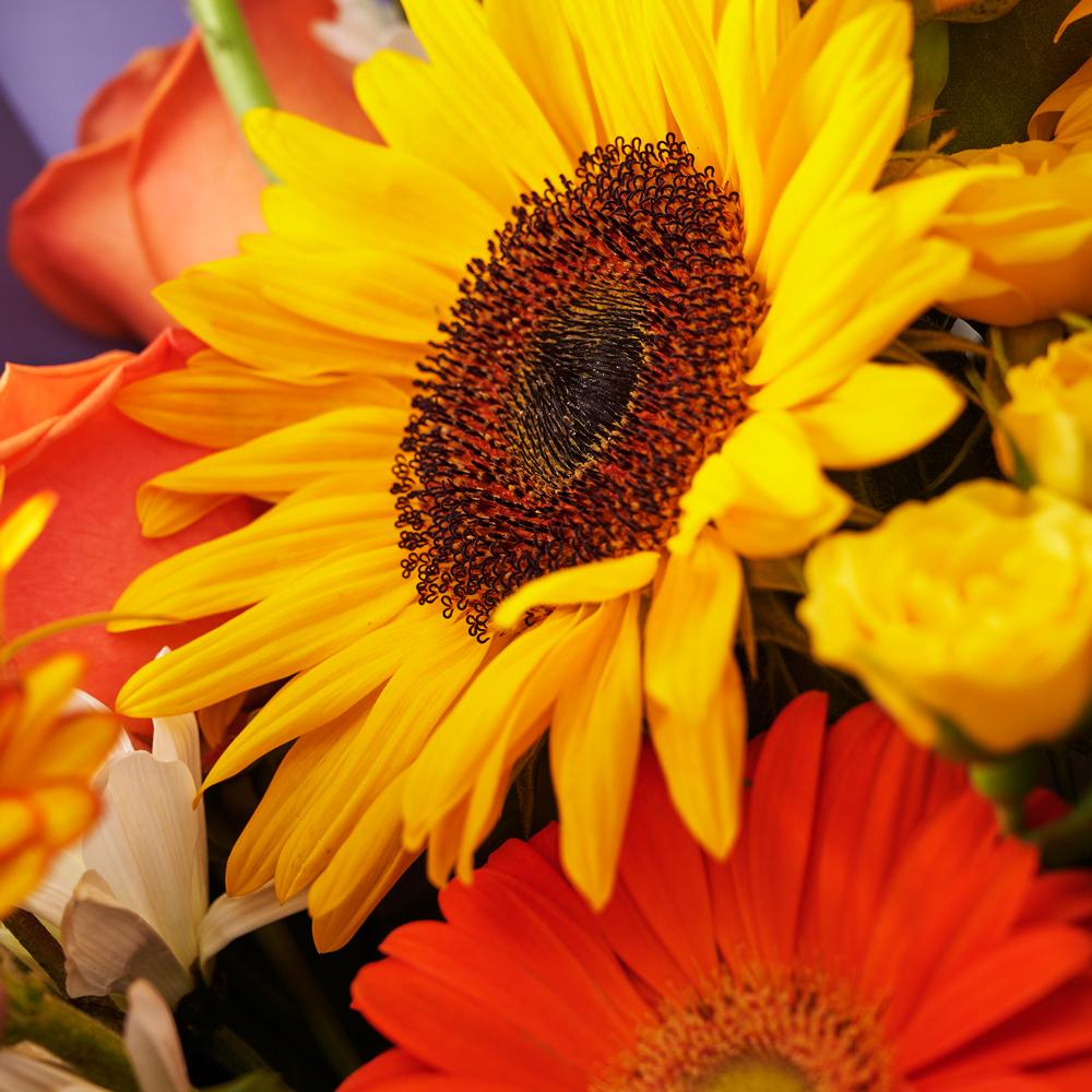 Ray of Hope Sunflower Bouquet - Heart & Thorn - Canada flower delivery