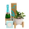 Reasons to Celebrate Plant & Champagne Gift - Heart & Thorn - Canada plant delivery